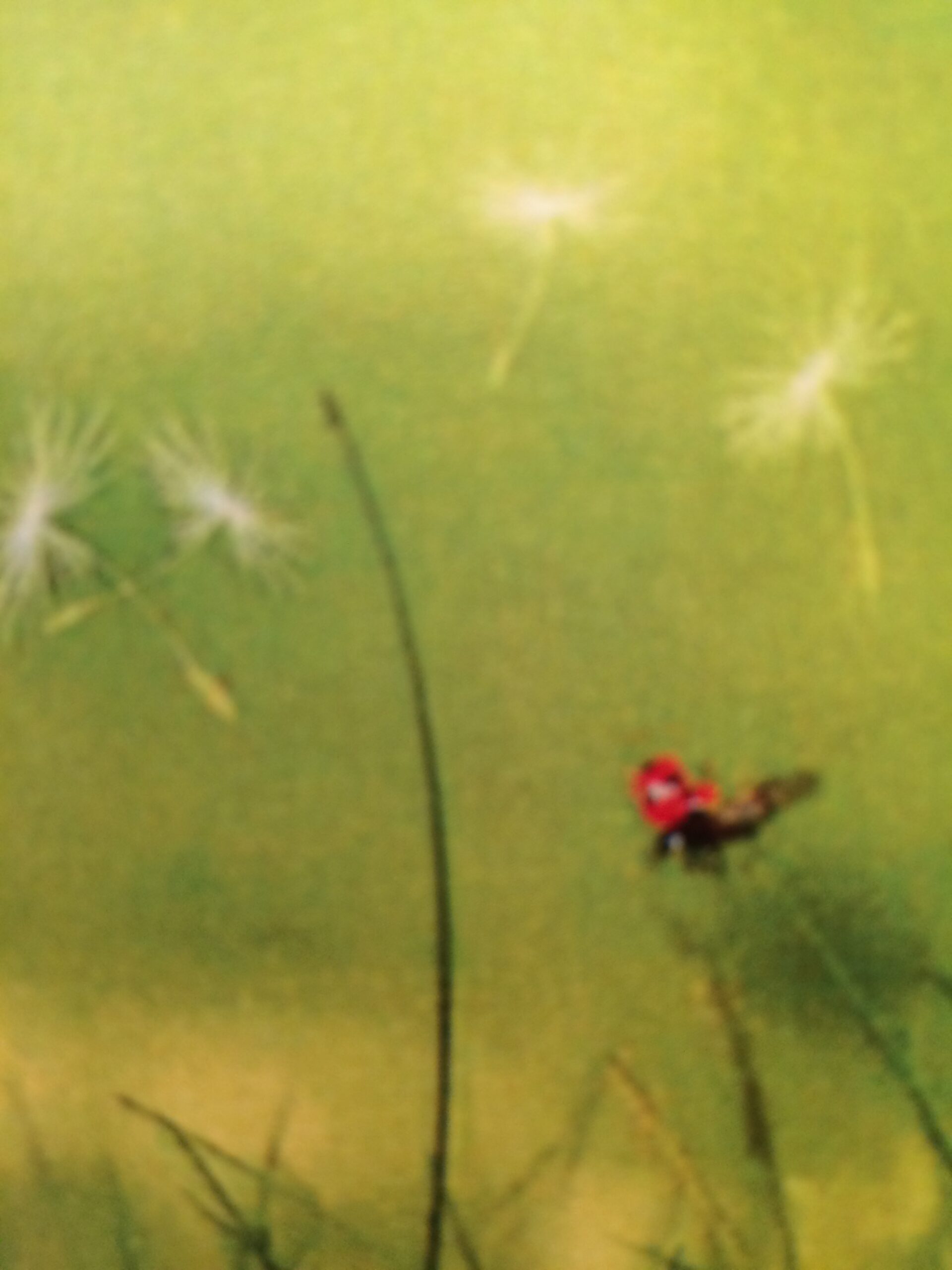 In stroom met je eigen natuur